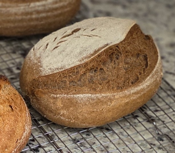 gluten free bread