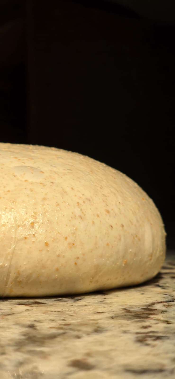 Fermenting sourdough resting on a work surface