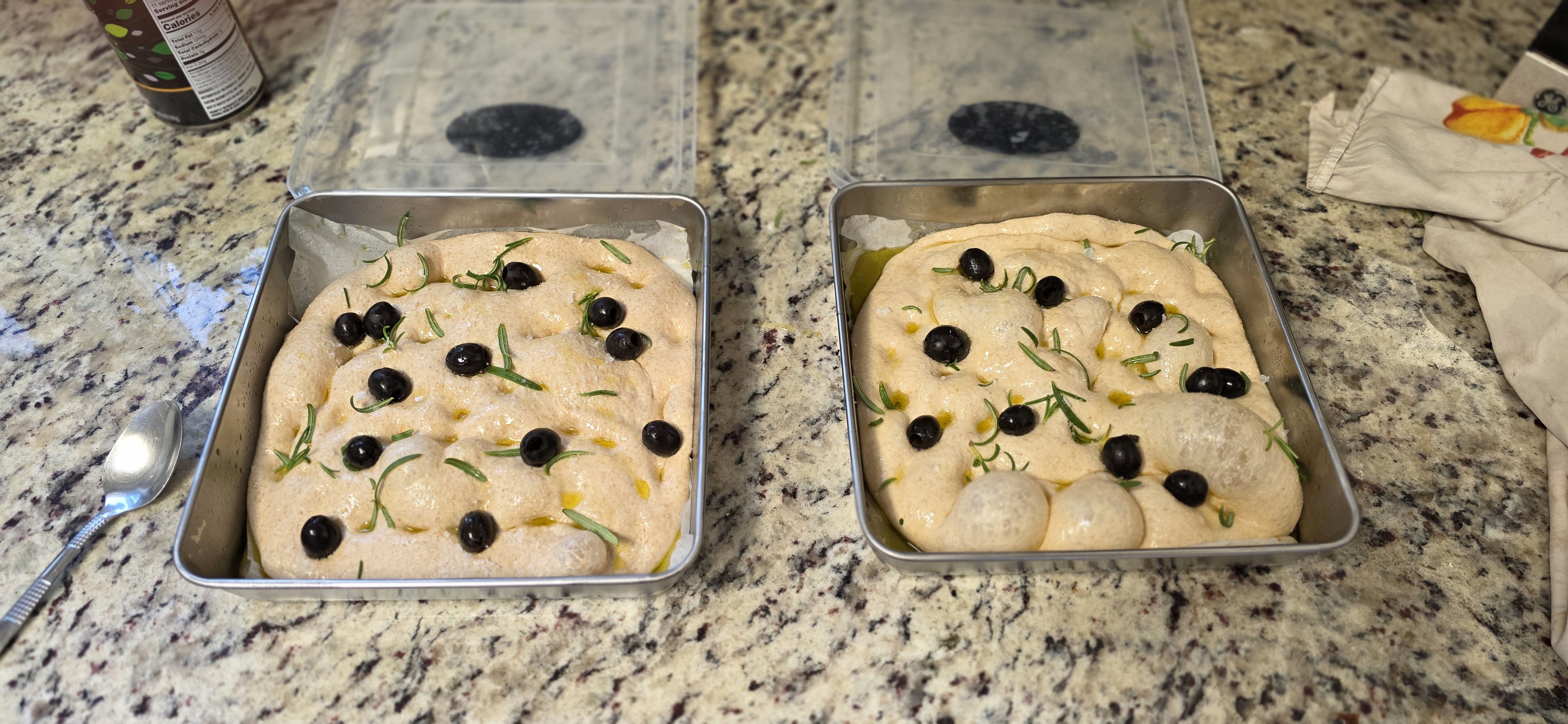 Two pans of olive and rosemary sourdough focaccia