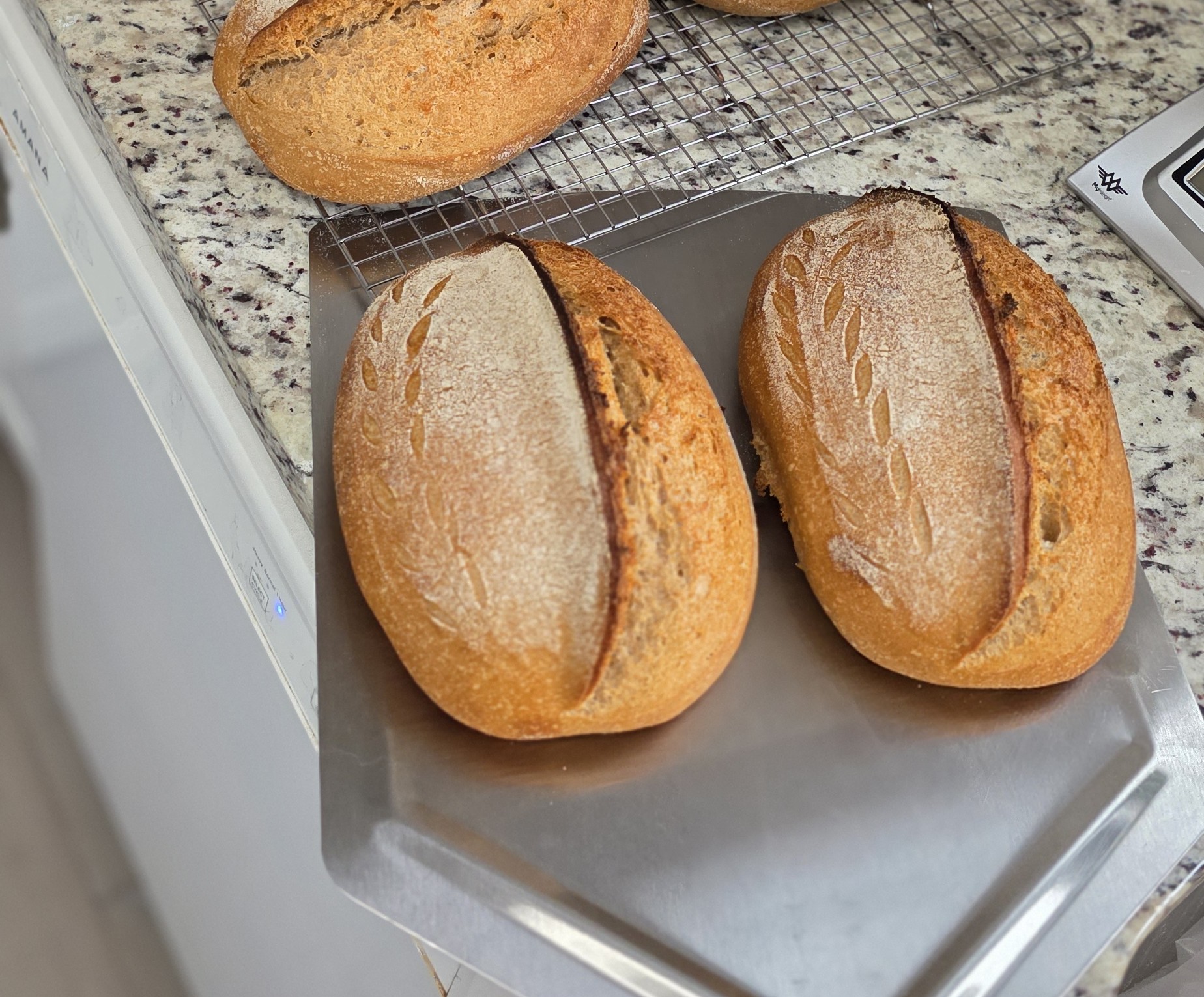 Round artisan sourdough loaf on a cloth